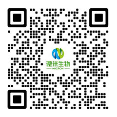 91麻豆视频官网生物